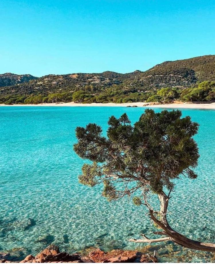 Villa Le Corail Rouge Corse ลิชชี ภายนอก รูปภาพ