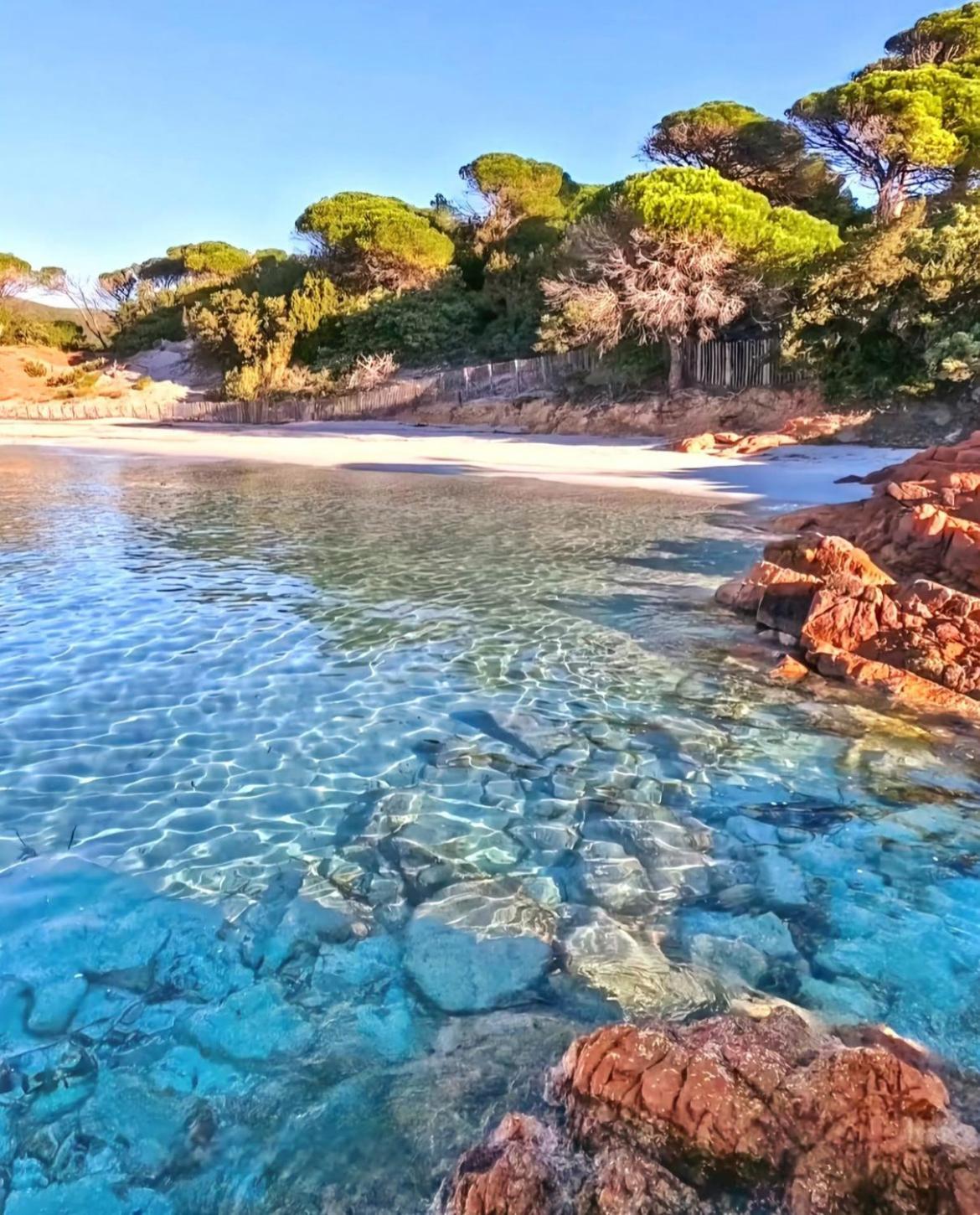Villa Le Corail Rouge Corse ลิชชี ภายนอก รูปภาพ